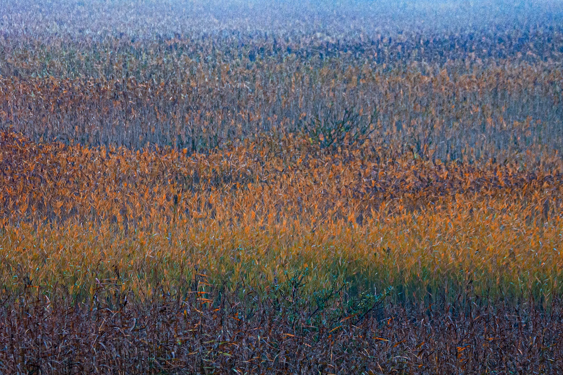 Foto van Wim Falkenberg